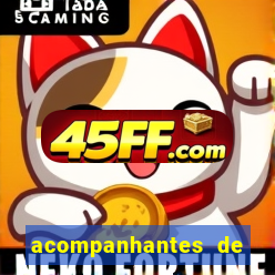 acompanhantes de paulo afonso